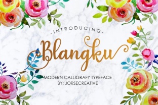 Blangku Font Review: Fluid Calligraphy for Web Design