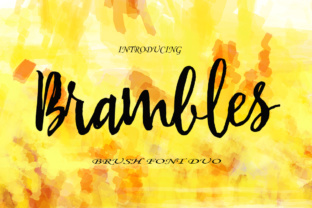 Brambles Font: An Editorial Review for Publishers