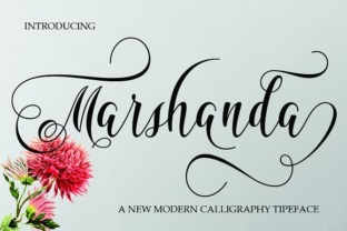 Marshanda Font: Modern Calligraphy for Web Design