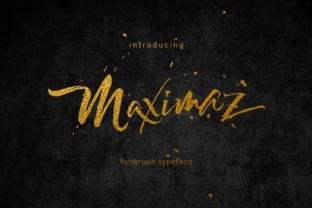 Maximiz Font: Adding Passion to Small Business Branding