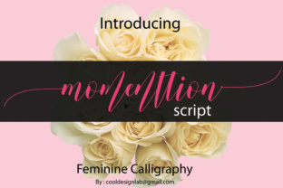 Momenttion Font: A Web Designer’s Layout Review