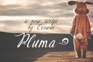 Pluma Font: Elevating Small Business Brand Identity