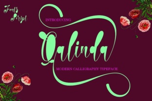 Qalinda Font: Elevating Web Design with Elegant Script